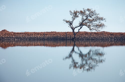 Preview: Tree