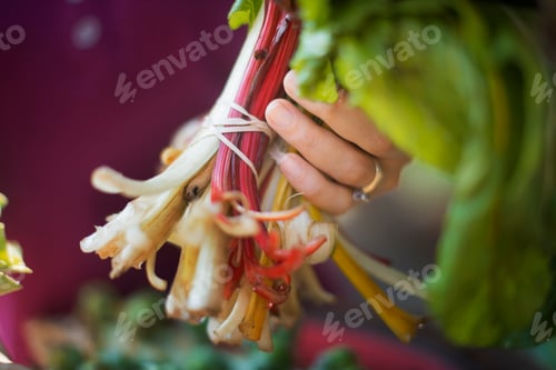 Preview: A handful of freshly picked vegetables.