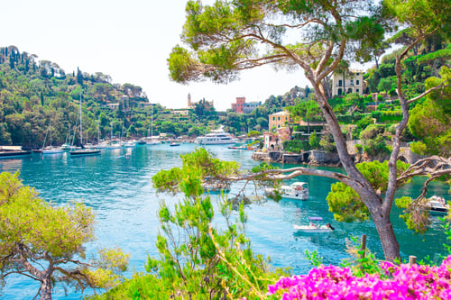 Preview: Beautiful sea coast with colorful houses in Portofino, Liguria, Italy. Summer stunning landscape