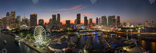 Preview: Aerial view of yachts in Miami marina at Bayside Marketplace