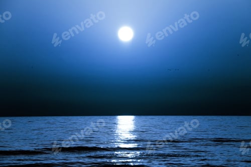 Preview: A blue night sky over the sea