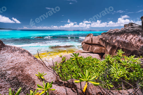 Preview: Amazing granite boulders in the jungle of Anse Source d'Argent on La Digue Island, Seychelles