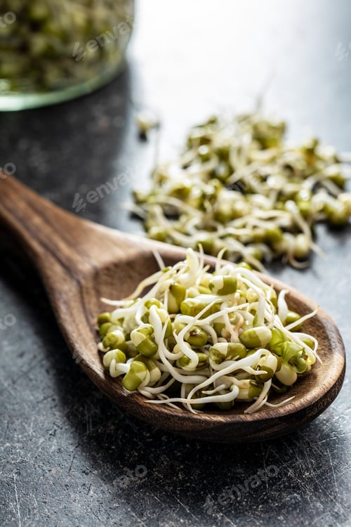 Preview: Sprouted green mung beans. Mung sprouts.