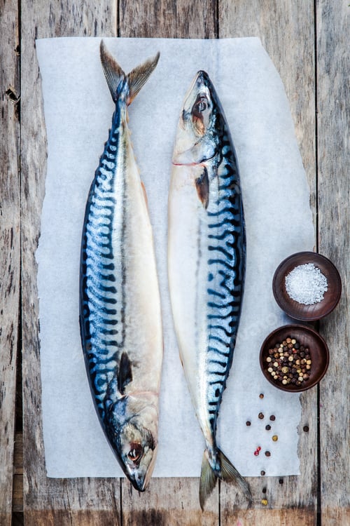 Preview: Two raw fresh mackerel fishes on a paper with salt and pepper