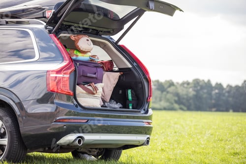 Preview: Car on meadow with open boot full of luggage