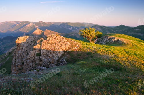 Preview: Landscape with Tree