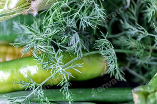 Vista previa: Macro shot, fresh dill among other vegetables.