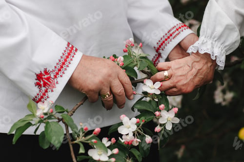Preview: Close up of senior man and woman holding hands and walking outdoors. Rear view of old couple walking
