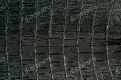 Preview: Alligator, leather in green colour skin