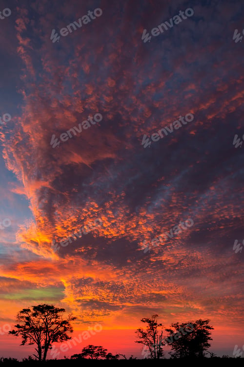Preview: Dramatic sunset - Botswana