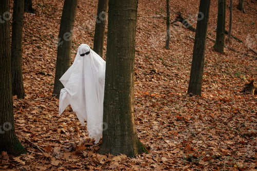 Preview: Funny ghost with black glasses peeking out of a tree in moody autumn forest