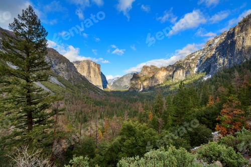 Preview: Yosemite