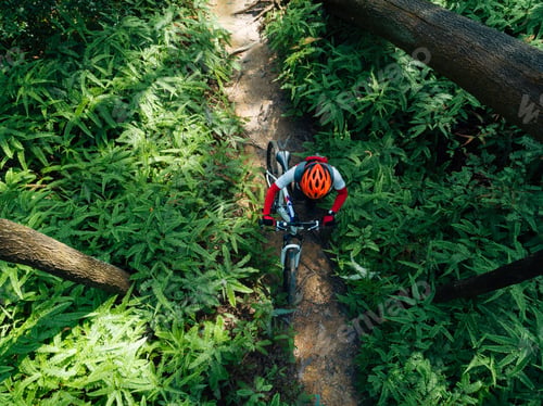 Preview: Cross country cyclist with mountain bike in the forest