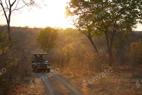 Preview: Tourists on land cruise, Victoria Falls, Zimbabwe