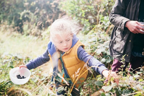 Preview: Girl picking blackberries