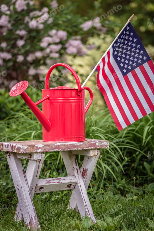 Preview: American flag in a red watering can in the backyard