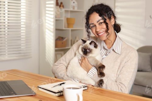 Preview: Beautiful woman with her cute cat working on laptop at desk in home office