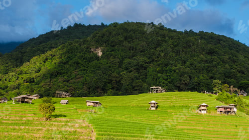 Preview: Beautiful Terraced Rice Field in Chiangmai, Thailand