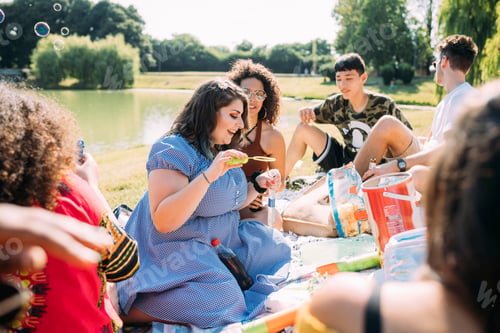 Preview: Group of friends relaxing at picnic in park