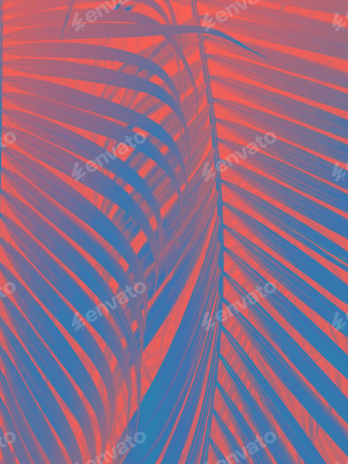 Preview: coral