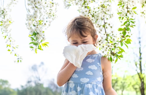Preview: child allergic to flowering trees. Selective focus.