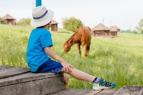 Preview: Boy Sits Near Grazing Horse in Summer Meadow