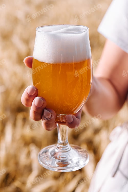 Preview: glass of beer in hand against the background of wheat field