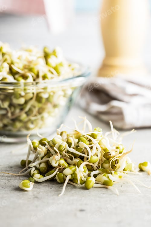 Preview: Sprouted green mung beans. Mung sprouts.