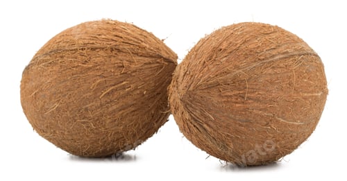 Preview: Coconuts isolated on white background