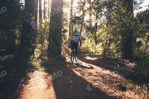 Preview: Fitness, bicycle and man back outdoor on a forest path with extreme and exercise adventure. Bike, c