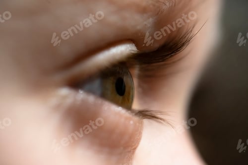 Preview: Toddler Boy eyes closeup macro