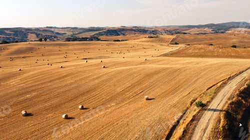Preview: Aerial shot of agricultural fields with golden grass and rounded hays spread all over