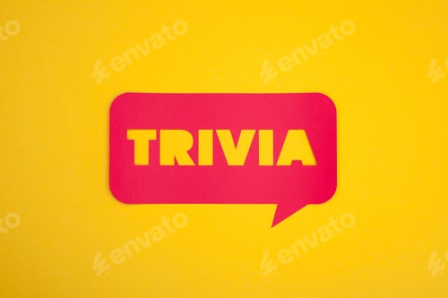 Preview: The trivia cardboard text sign