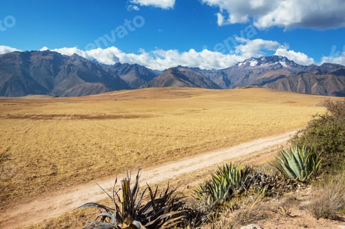 Preview: Fields in Peru