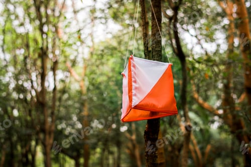 Preview: Orienteering box outdoor in a forest