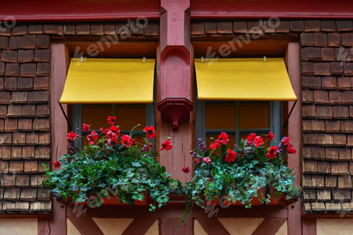 Preview: Window boxes with poppies and ivy flowers hanging from a windowsill