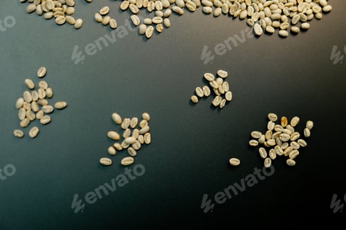 Preview: close-up at a coffee roasting factory sorts green coffee with his hands