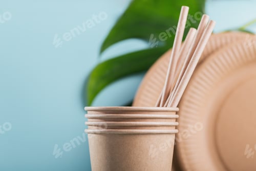 Preview: Eco-friendly disposable utensils made of craft paper