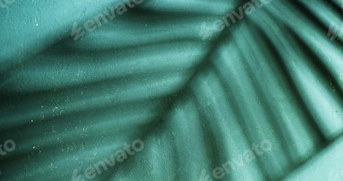Preview: photo