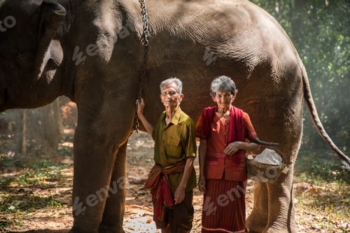 Aperçu: Elephant and senior couple in Thailand