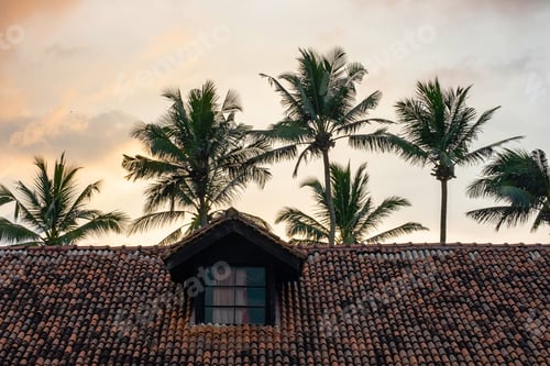 Preview: Oriental tradition tile roof top against palm trees and sunset sky.