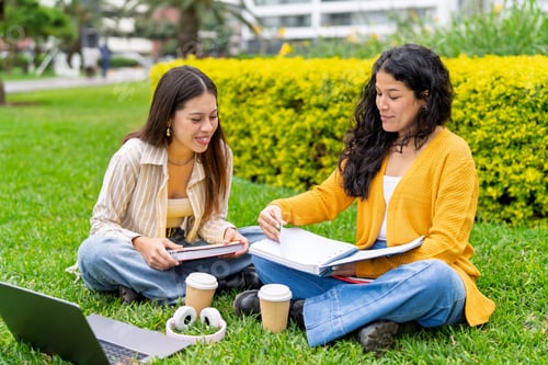 Preview: College students studying and interacting on campus grass