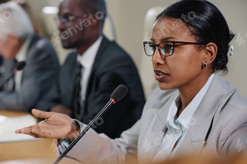 Preview: Businesswoman giving her speech at seminar