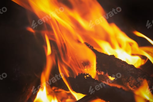 Preview: Fire Burns In The Forest On Vacation