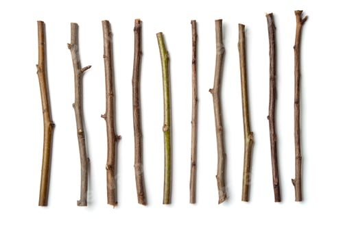 Preview: Row of dry wooden twigs