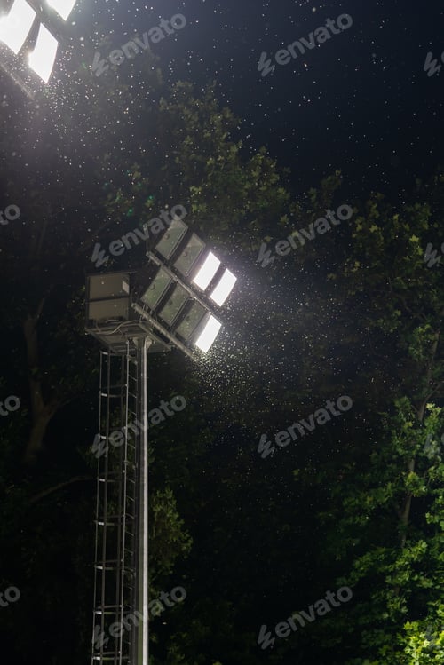Preview: Swarm of insects and mosquitoes around the lamp of an electric spotlight at night outdoors