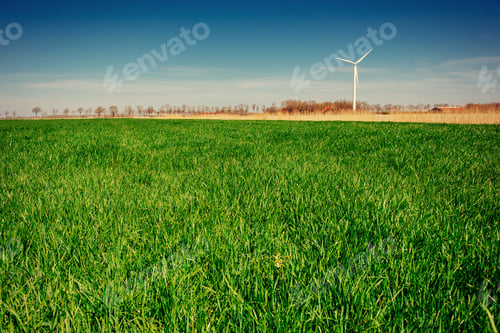 Preview: green grass field and bright blue sky