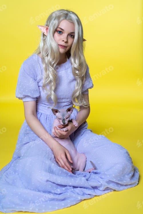 Preview: Young woman cosplay elf in blue dress sitting on yellow background, holding Sphinx kitten