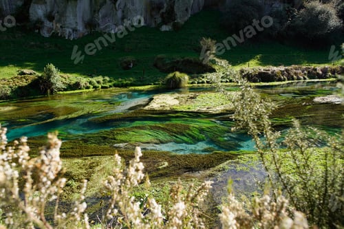 Preview: River of Te Waihou Walkway in Hamilton New Zealand surrounded by greenery