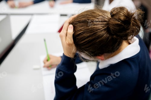 Preview: Group of students studying in the classroom